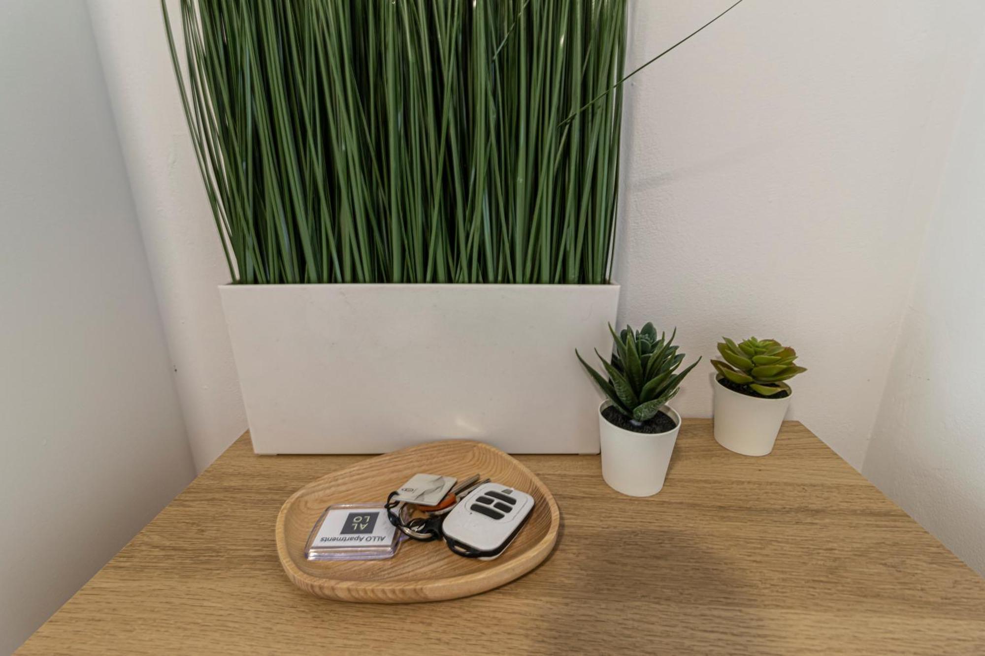 Allo Apartments Arroyo Atico Parking 1 Habitacion Χέρεζ Εξωτερικό φωτογραφία